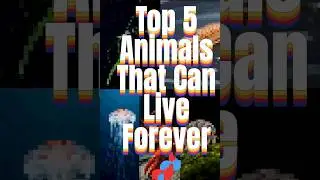 Top 5 Animals That Can Live Forever