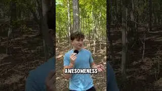 Day one: you joining me? #nature #aesthetic #fyp