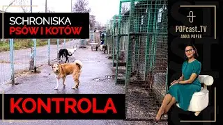 🐾 Cała Polska sprawdza schroniska – my również!