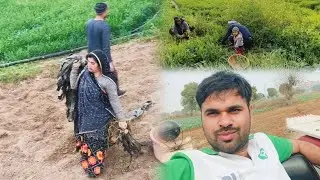 Pyaj ke liye khet tyar kiya🧅🧅🧅🌰