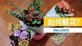 Weekend Vlog16| 网购来自云南的鲜花｜如何深水醒花🌹｜ Gracie's Vlog