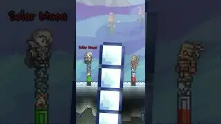 2 Player Terraria TELEPATHY