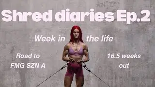 WEEK IN THE LIFE | 16.5 WKS OUT 🔥