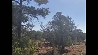 3387 Sunset Ridge Loop - 5 acres - Happy Jack AZ