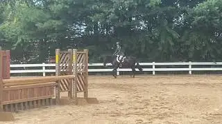 Isabelle Mesiarik and Defying Gravity - 2020 Virtual Pony Finals Round