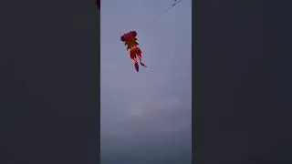 Goldfish kite with LED