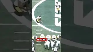 Long snappers do not get enough credit! #shorts #nfl #steelers
