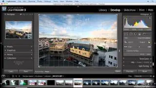 Lightroom 3 - Using an Old Tool and a New One to Improve an Image