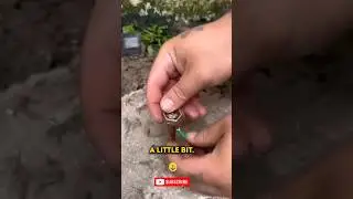 Free Electricity😲