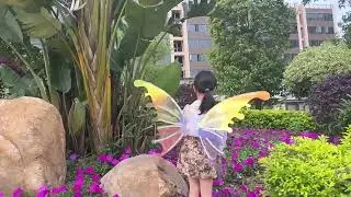 Electric Fairy Wings Costume Magic LED Lights Butterfly Wings Pet Music Cosplay Party Dress Up