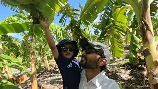 Tropical Banana Farm Experience in Maldives with Qasim & Mustafa!