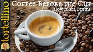 Coffee Before the Cup – How It All Begins
