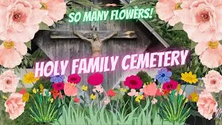 Peaceful Floral Beauty: Walking Through Holy Family Cemetery