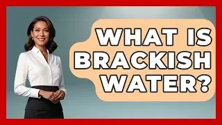 What Is Brackish Water? - The Marine Life Explorer
