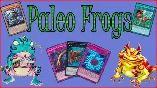 Yu-gi-oh! Master Duel - Paleo Frogs - Ranked