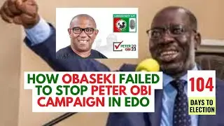 What Went Wrong With Peter Obi's Campaign?