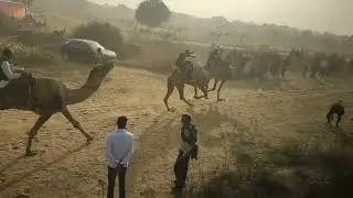 ladunda final