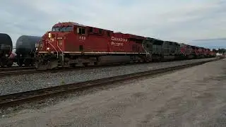 CP 7020