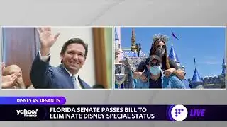 Florida Senate passes bill to eliminate Disney special status
