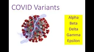 COVID Variant Education