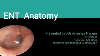 ENT Anatomy Made Easy | Ear, Nose & Throat | Head & Neck Anatomy for Medical Students.