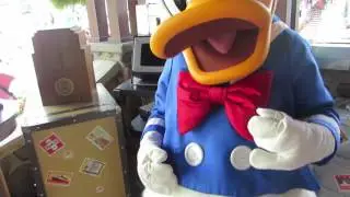 Meet and Greet : Donald Duck at Hollywood Studios