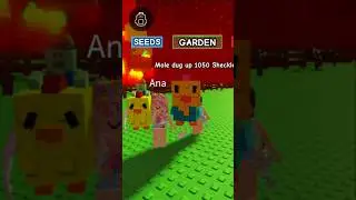 what happened in grow a garden before the new chicken zombie update #roblox #growagarden