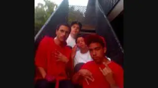 nortenos xiv