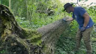 A Wood History Lesson by Jesper Makes