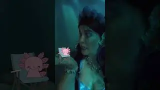 Axotol Song
