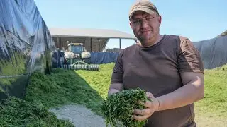 Cum se face silozul de lucernă &icirc;n ferma Maxagro🌱