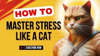 How to Master Stress Like a Cat: 4 Powerful Tricks You Need to Know! | CAT_VENTURES