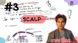 Scalp |  HNF Lecture 03 | Stupid Genius