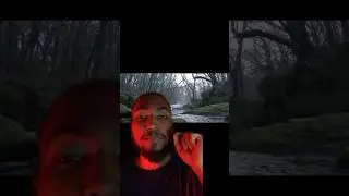Creepy forest #scary #haunting #haunted #unexplained #woods #forest #paranormal #unexplainable