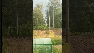 В556погляд з вікнаЩоденна думка405a view from the windowDaily thought #agro #nature #hunting #love