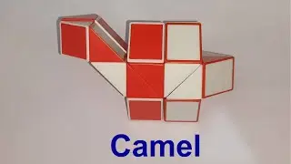 Make a Camel🐪 with Snake Cube