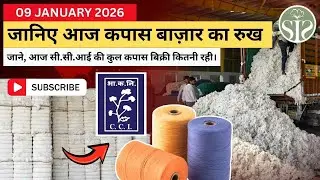 Aaj ka kapas bajar bhav 🤔Cotton market rate today #youtube  #cottoncorporationofindia