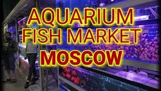 GIEŁDA ZOOLOGICZNA MOSKWA