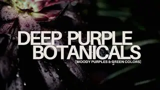 Moody Deep Purple Botanicals | Dark Purple & Green | Turn Your TV Into Art | 1 Hour of 4K HD Images