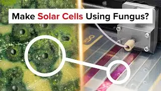 We Made Solar Cells from Fungi Using Slot-die Coating