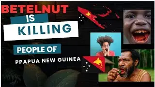 Betelnut is Killing Papua New Guineans. @@thevoiceofthenightingale 