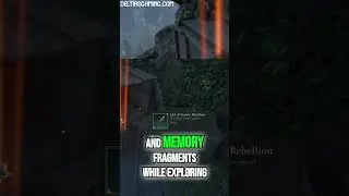 Avowed Beginner's Guide in 2 Minutes! 🏆 What to Focus on First!
