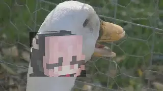 100% かきかませんせい