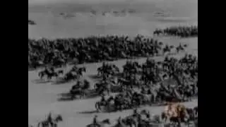 Horses of World War 1