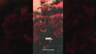 ZARIYA - A.R Rahman | Lyrical Whatsapp Status || SP create & craft