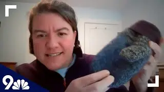 Meet the woman who made Sen. Bernie Sanders' mittens