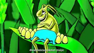 Mszyca zbożowa- Arysta 2018