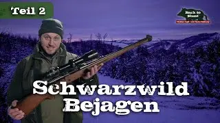 Ansitz auf Schwarzwild | Teil 2 | Jagd im Mondschein