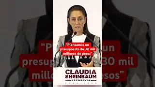 La presidenta electa revela que ya se est&aacute; trabajando en el presupuesto del 2025 #shorts