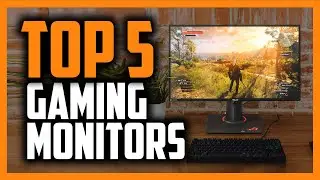 Best Budget Gaming Monitors in 2020 [144Hz, 4K, G-Sync & More]